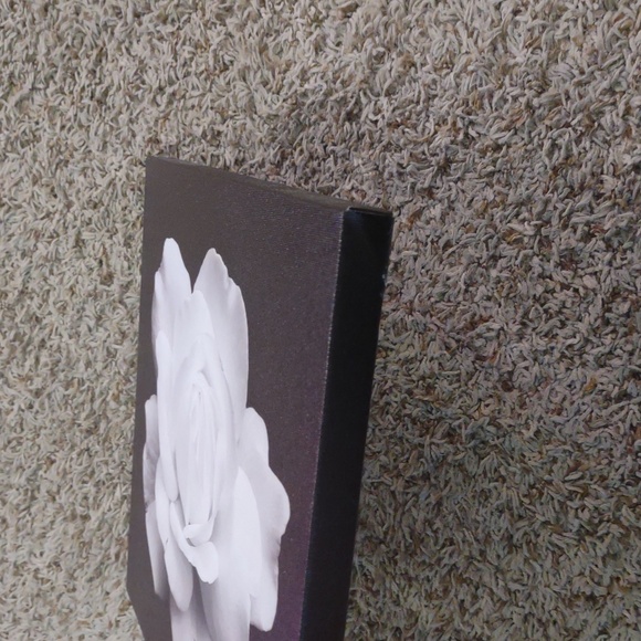 Bundle of 4 Canvas Wall Pictures - Picture 5 of 5